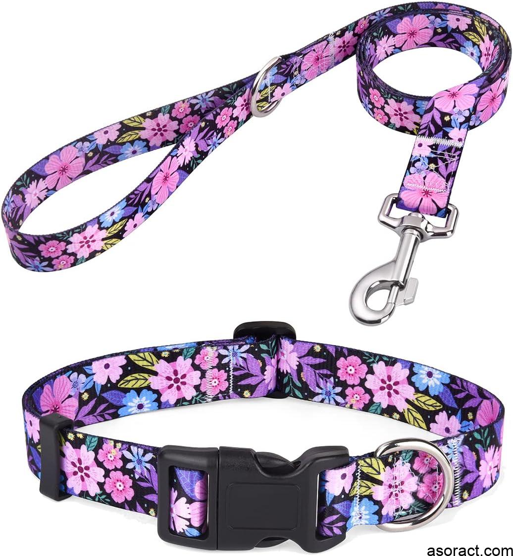 Dog Collar and Leash Set with Bohemia Floral Tribal Geometric Patterns