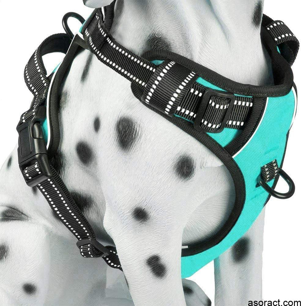 PoyPet No Pull Dog Harness