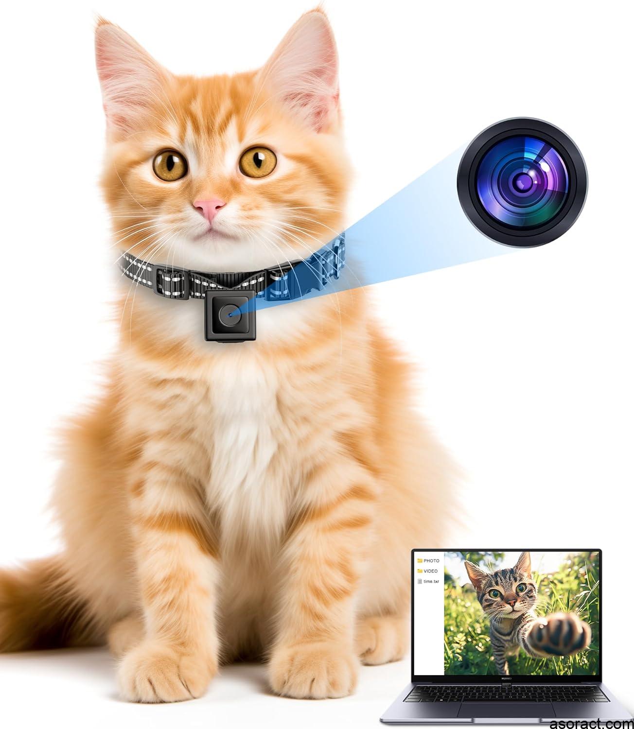 Cat Camera Collar for Video Recording