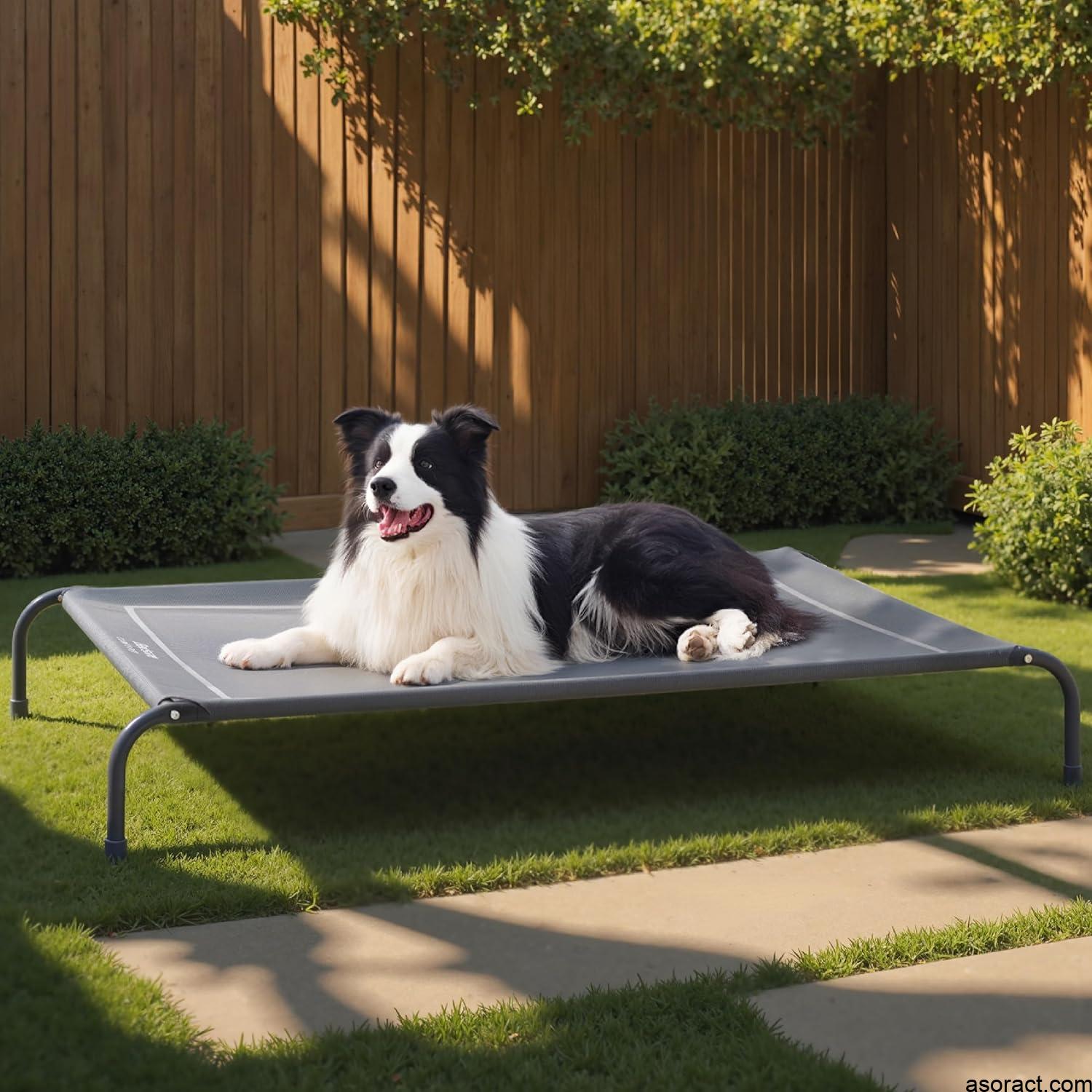 Bedsure Outdoor Elevated Dog Bed