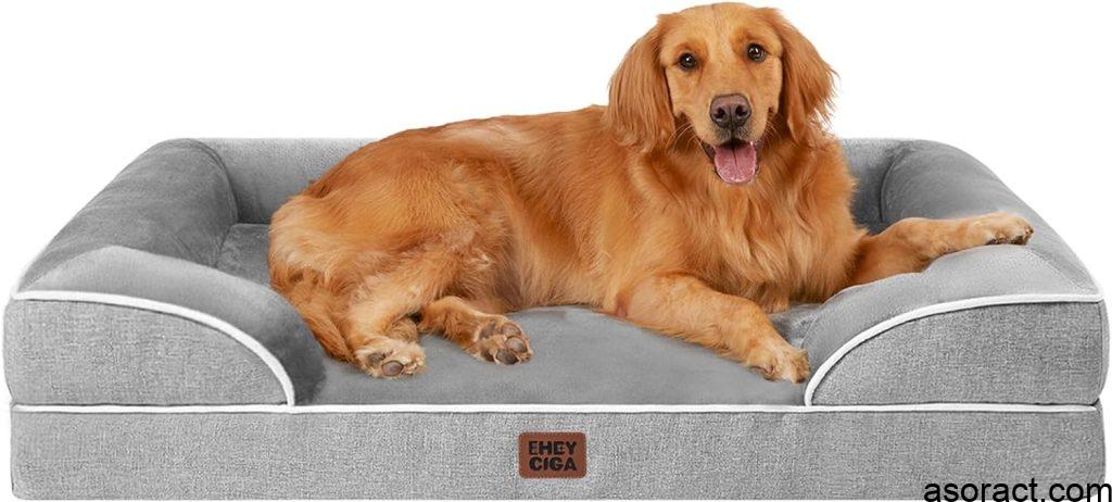 Top 10 Best Amazon Dog Beds for Medium and Large Breeds in 2024