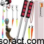 Interactive Cat Toys for Bored Indoor Cats Near You