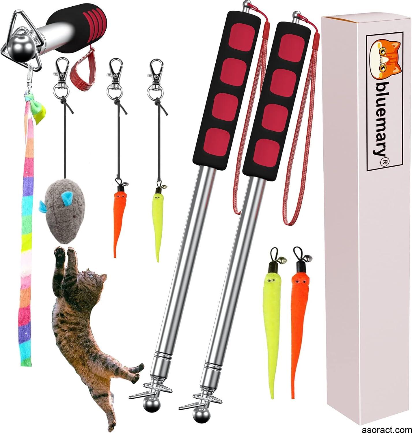 Interactive Cat Toys for Bored Indoor Cats Near You