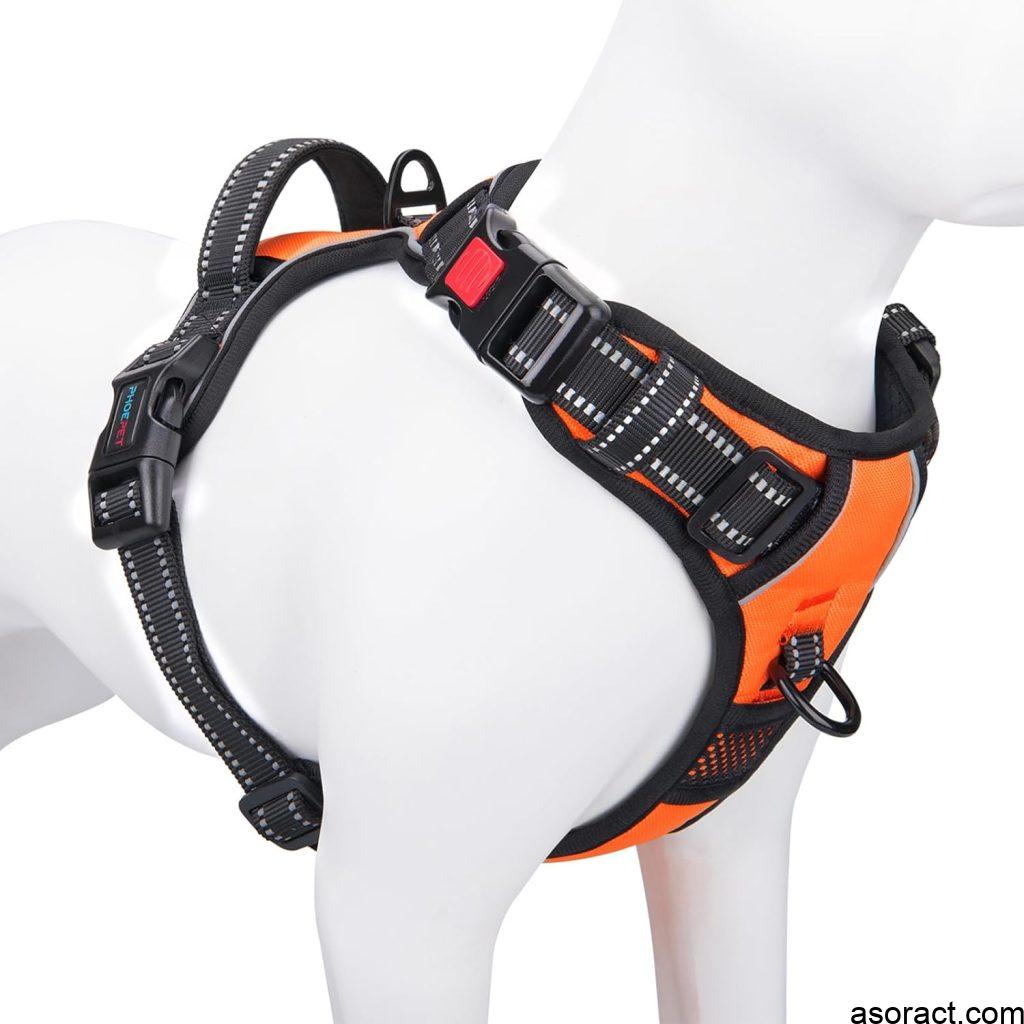 Best Dog Harness for Large Dogs No Pull and Car Travel in 2025