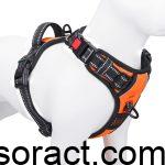 Best Dog Harness for Large Dogs No Pull and Car Travel in 2025