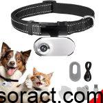 Best Collar Cameras for Cats & Dogs: Top Picks for 2023