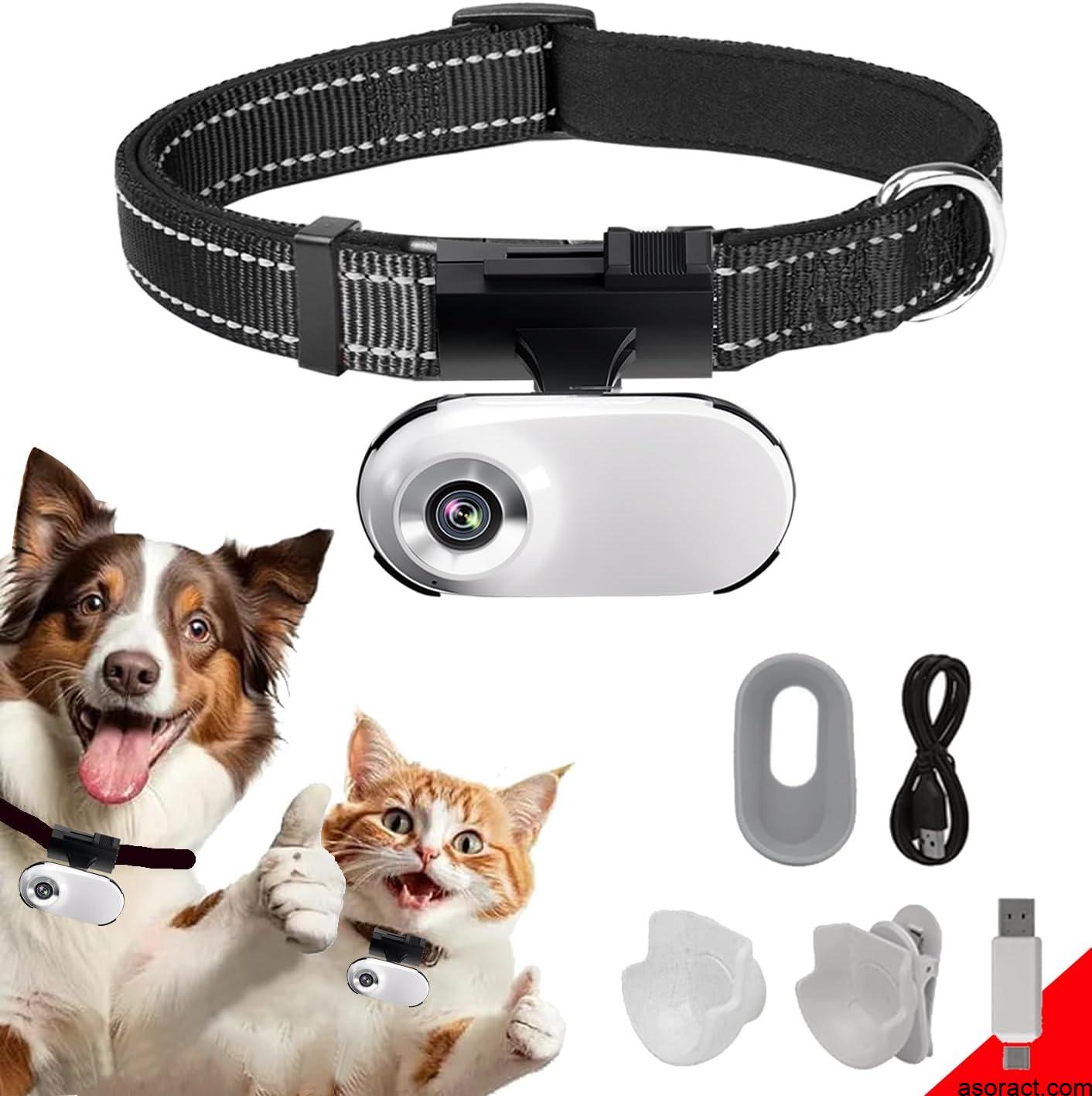 Best Collar Cameras for Cats & Dogs: Top Picks for 2023
