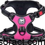 Best Escape-Proof Dog Harness with Handle for Large and Small Dogs