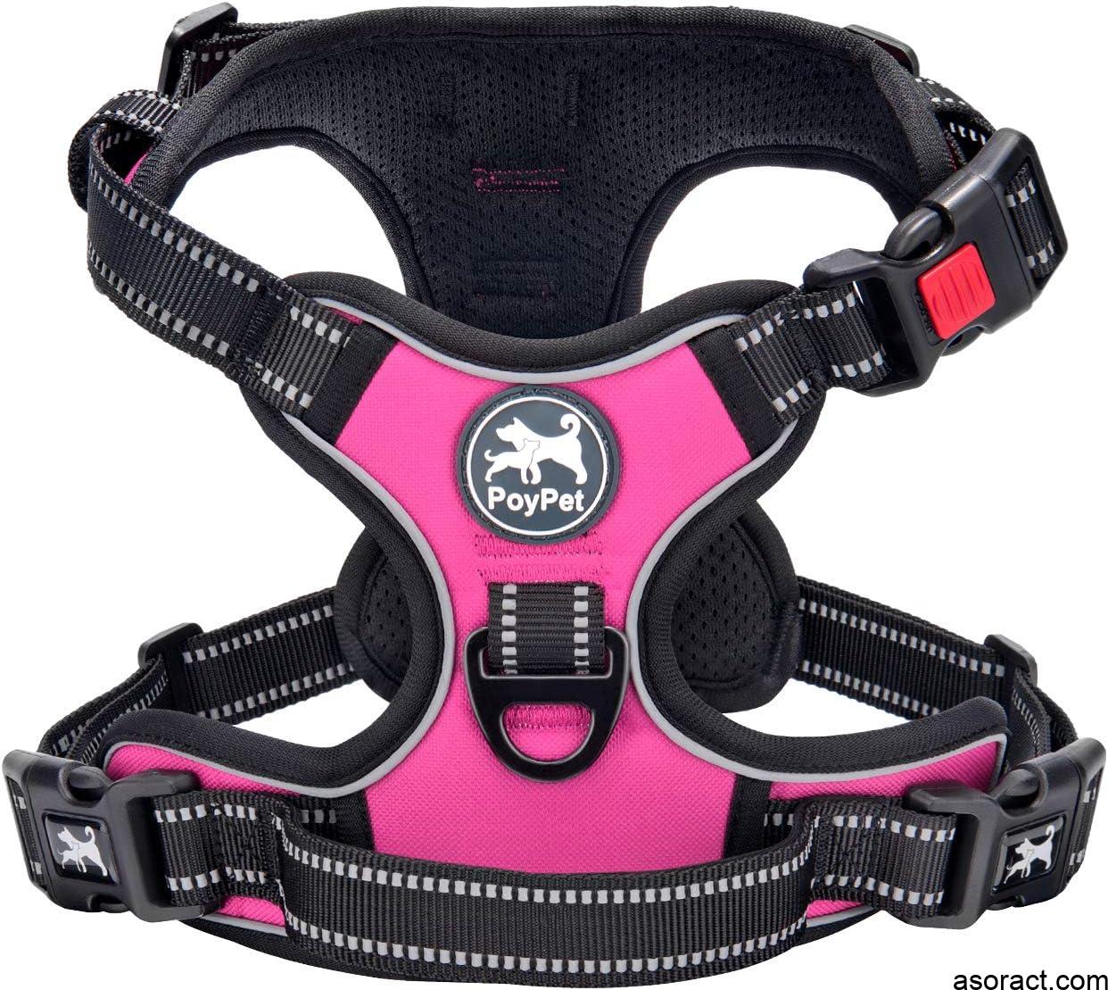 Best Escape-Proof Dog Harness with Handle for Large and Small Dogs