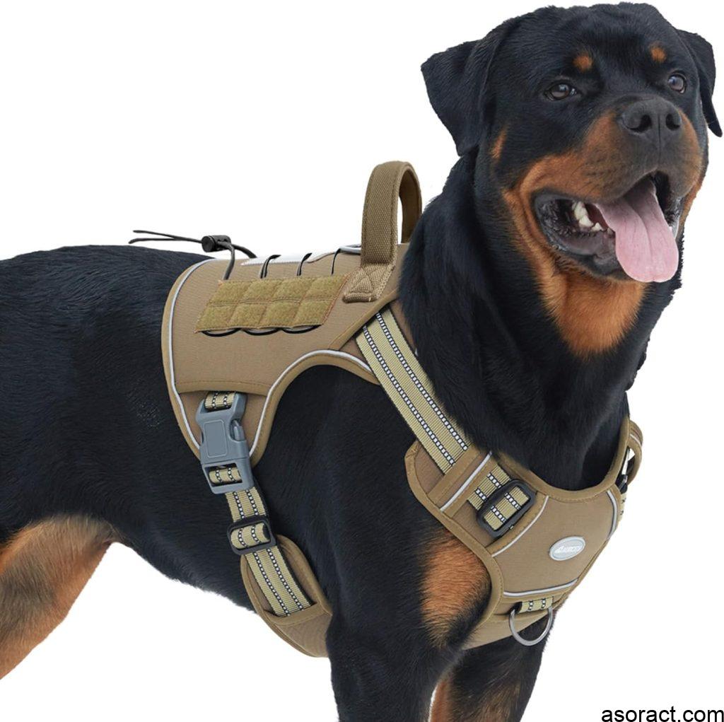 Best No-Pull Dog Harness for Small Dogs and Amazon Recommendations