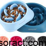 Best Dog Bowls for Fast Eaters: Slow Feeders and More