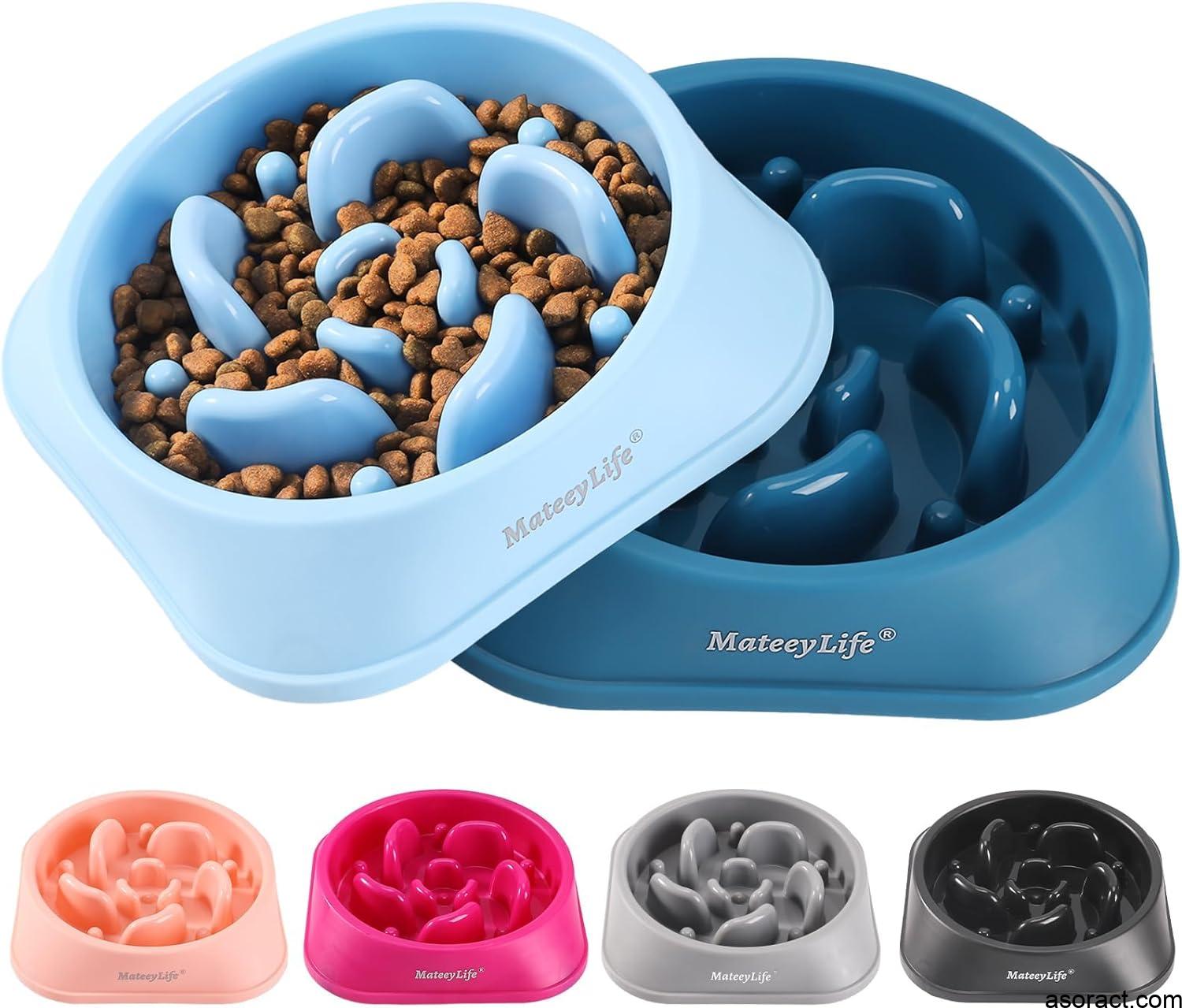 Best Dog Bowls for Fast Eaters: Slow Feeders and More