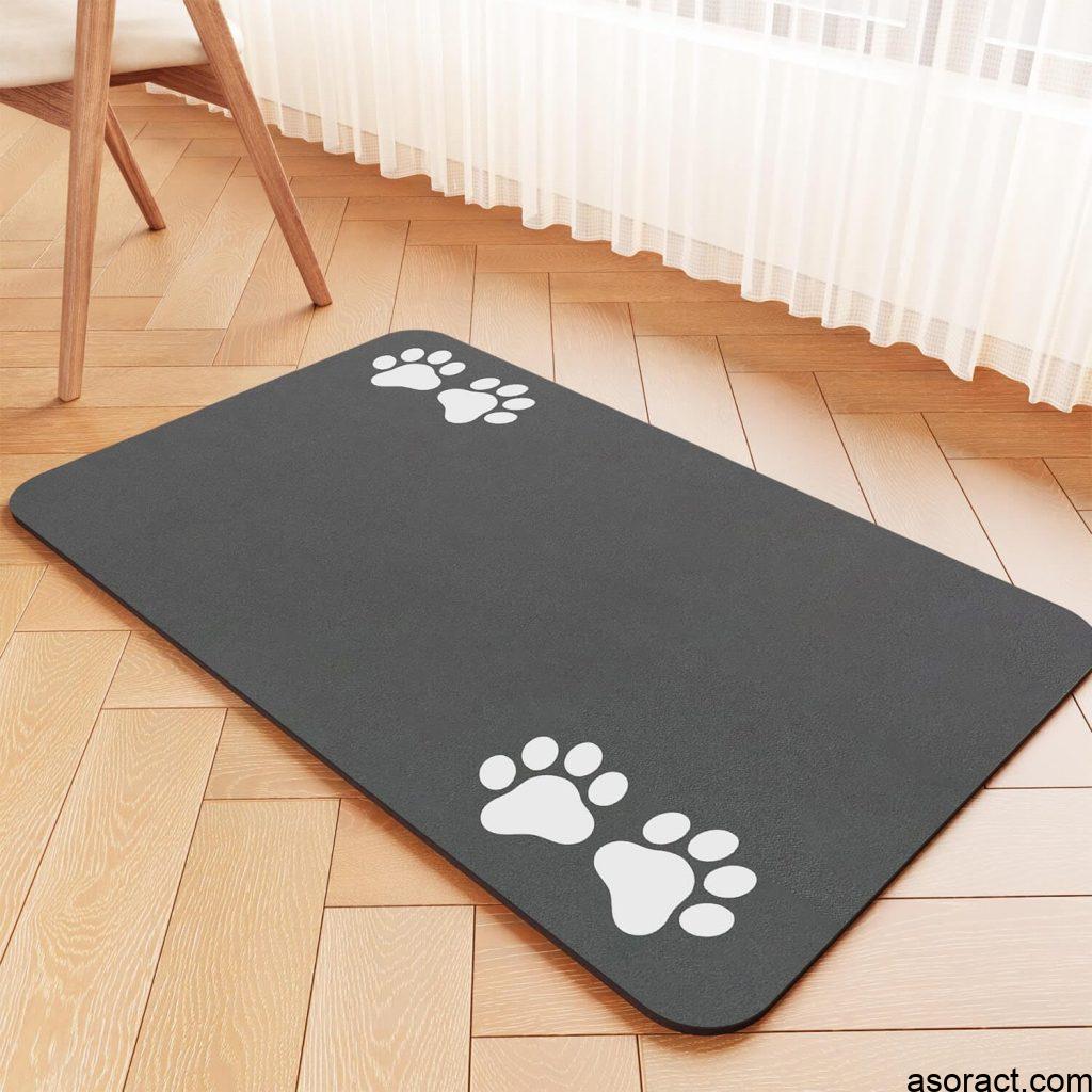 Best Food for Mature Cats and Feeding Accessories