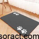 Best Food for Mature Cats and Feeding Accessories