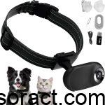 Exploring the Best Pet Collar Camera for Cats in 2025