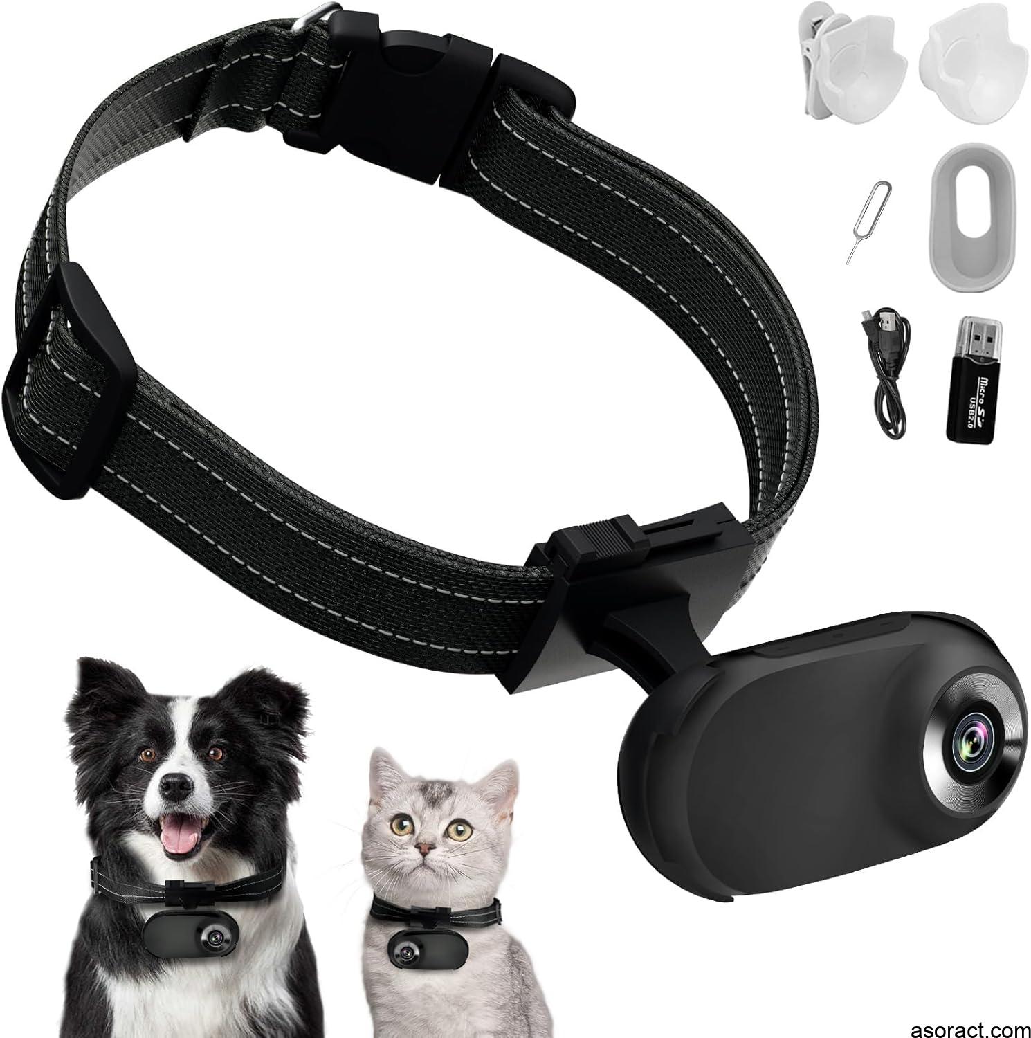 Exploring the Best Pet Collar Camera for Cats in 2025