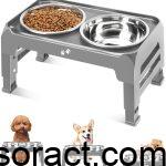 Best Raised and Elevated Dog Bowls for Large and Medium Dogs