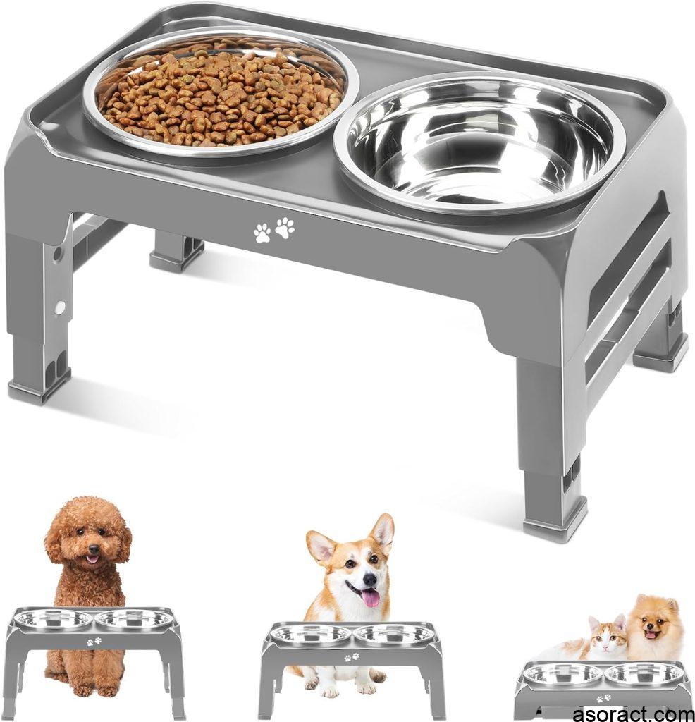 Best Raised and Elevated Dog Bowls for Large and Medium Dogs