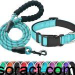 Best Dog Collar and Leash Combos for Rottweilers and Large Breeds