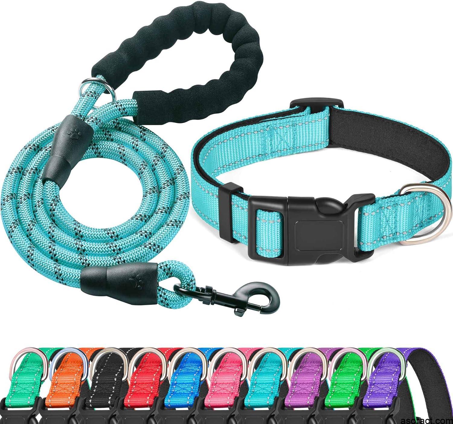 Best Dog Collar and Leash Combos for Rottweilers and Large Breeds