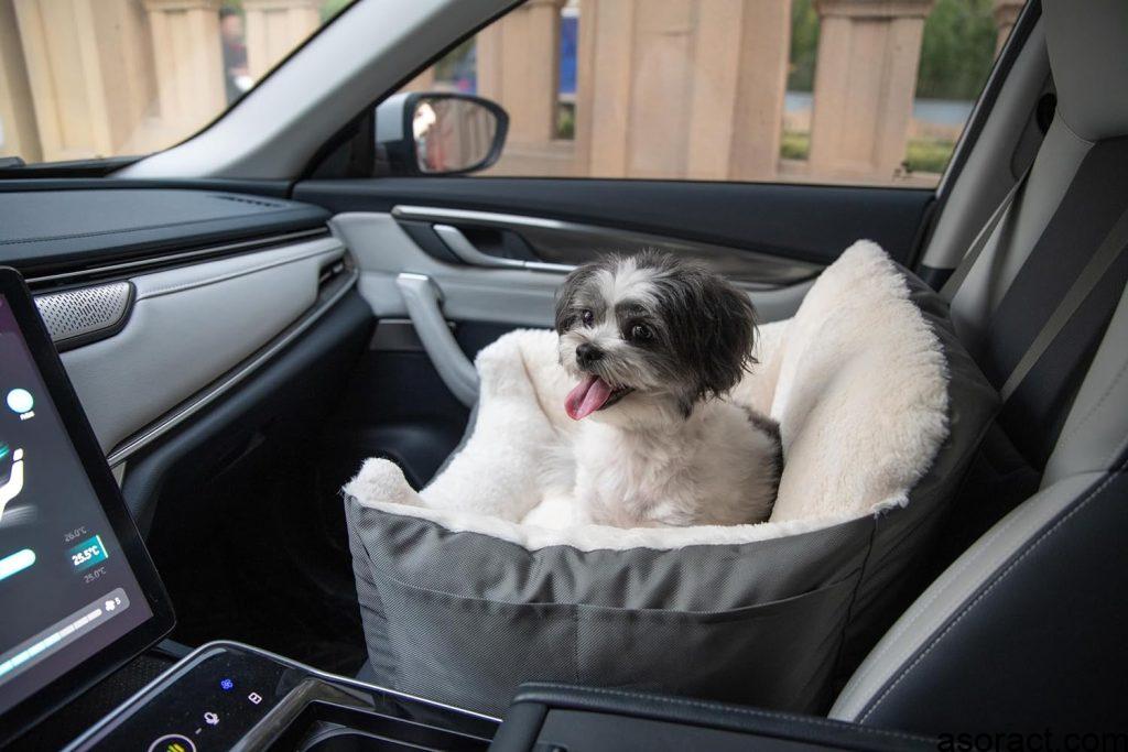 Best Dog Beds for Car Travel: Trunk, Front Seat, and Beyond