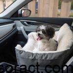 Best Dog Beds for Car Travel: Trunk, Front Seat, and Beyond