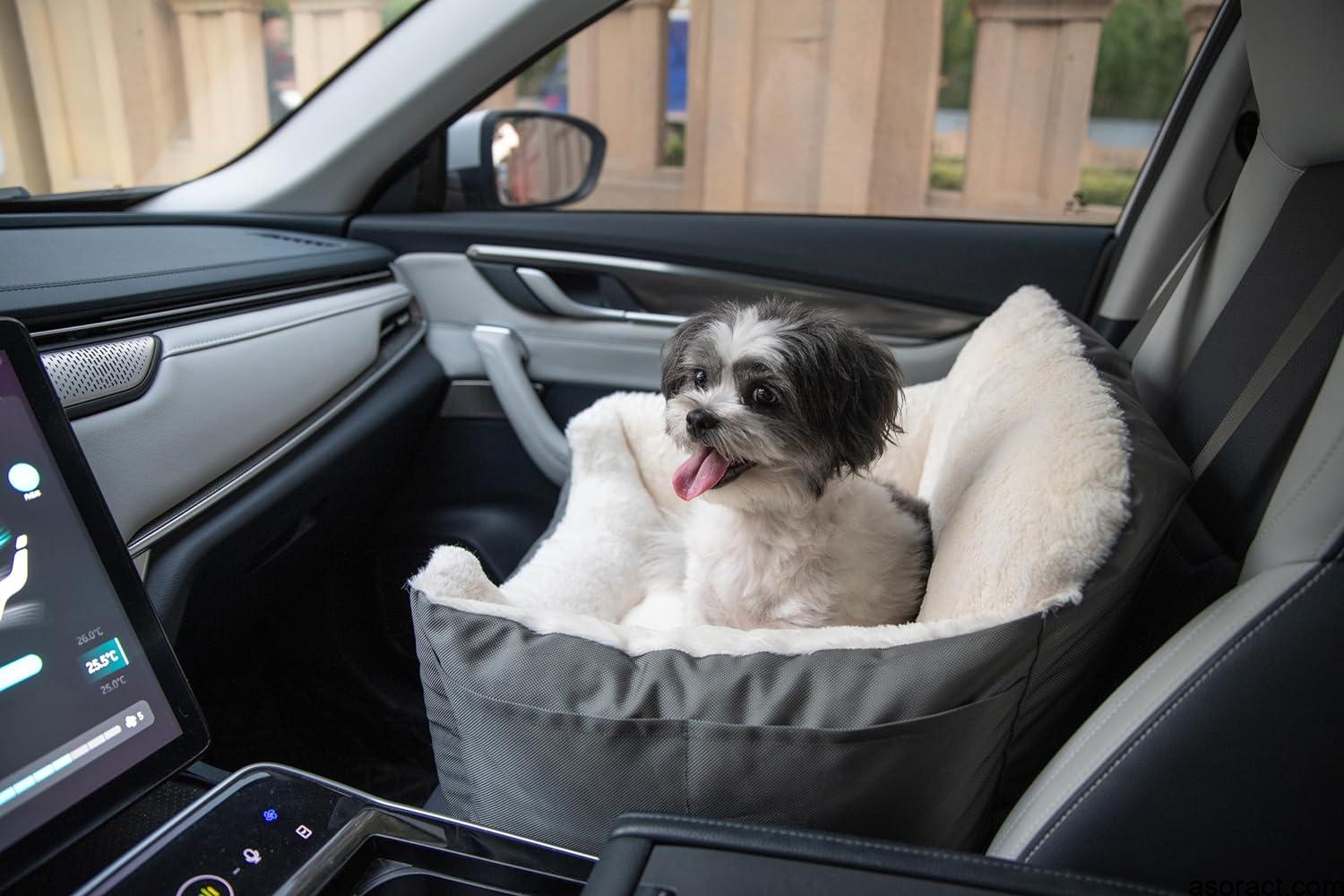 Best Dog Beds for Car Travel: Trunk, Front Seat, and Beyond