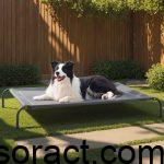 The Best Outdoor Dog Beds with Covers for Large Dogs in All Seasons