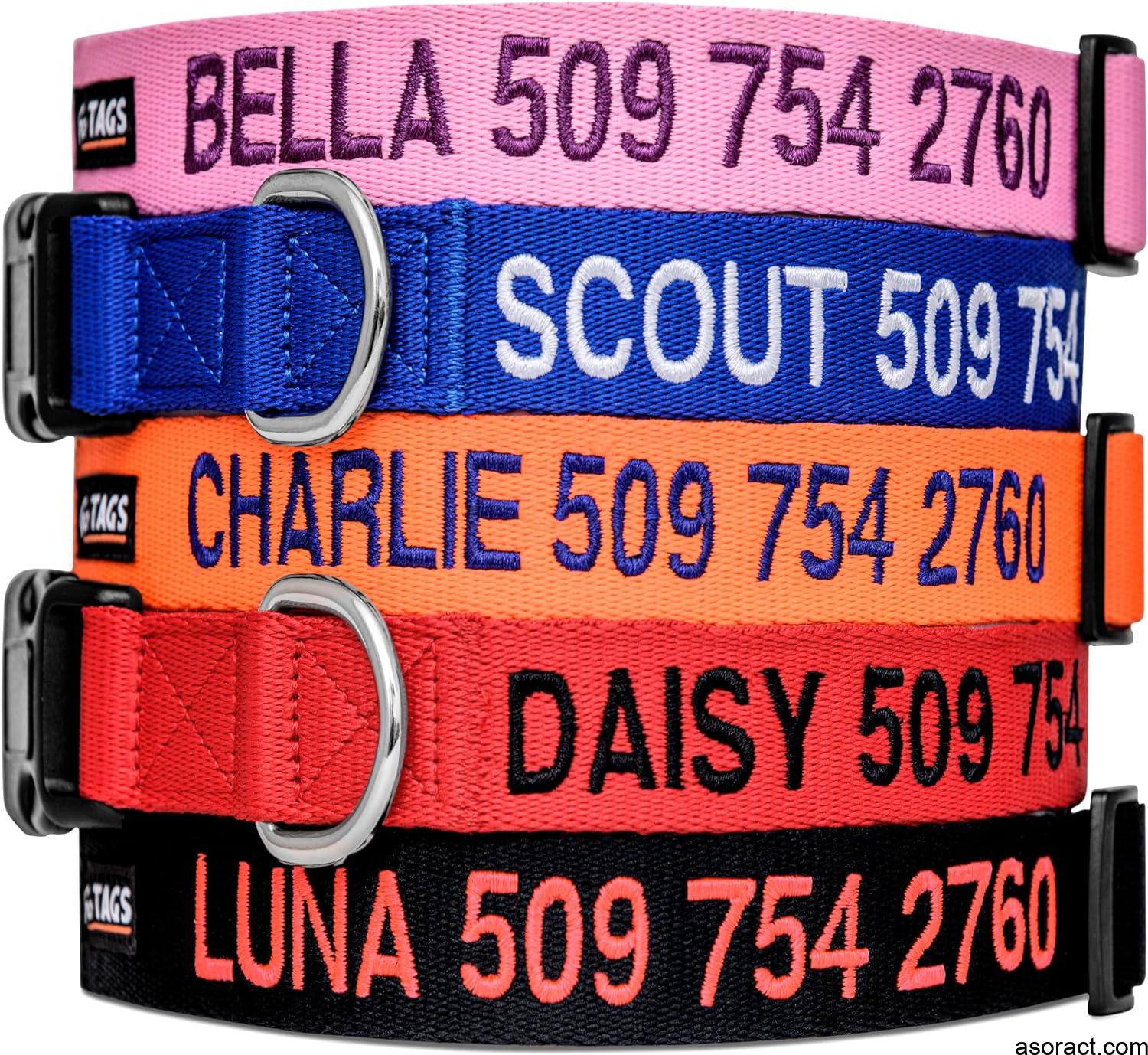 Best Dog Collars with Name Plates and Trackers for Large Breeds in 2025